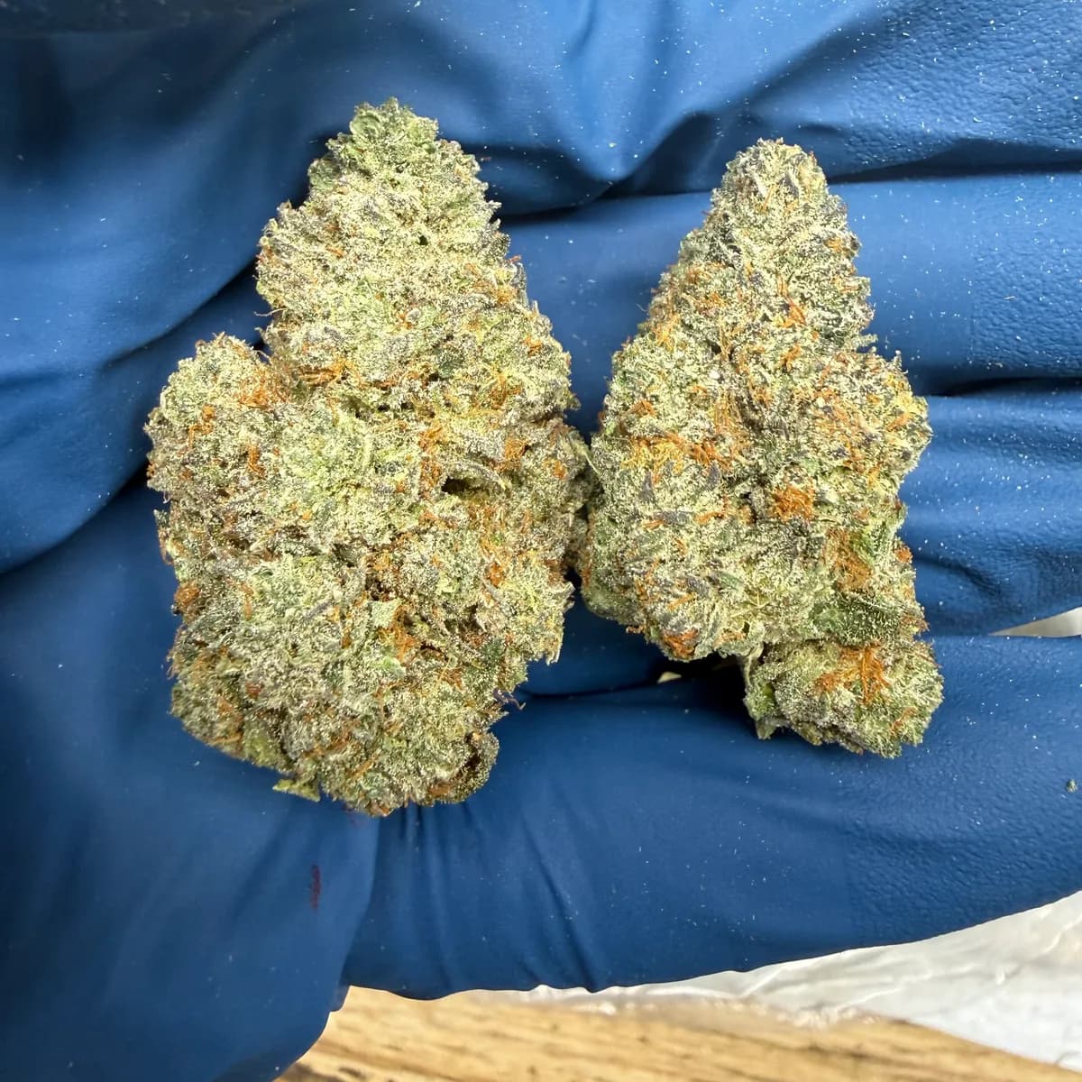 Banana Skittlez wholesale hemp flower