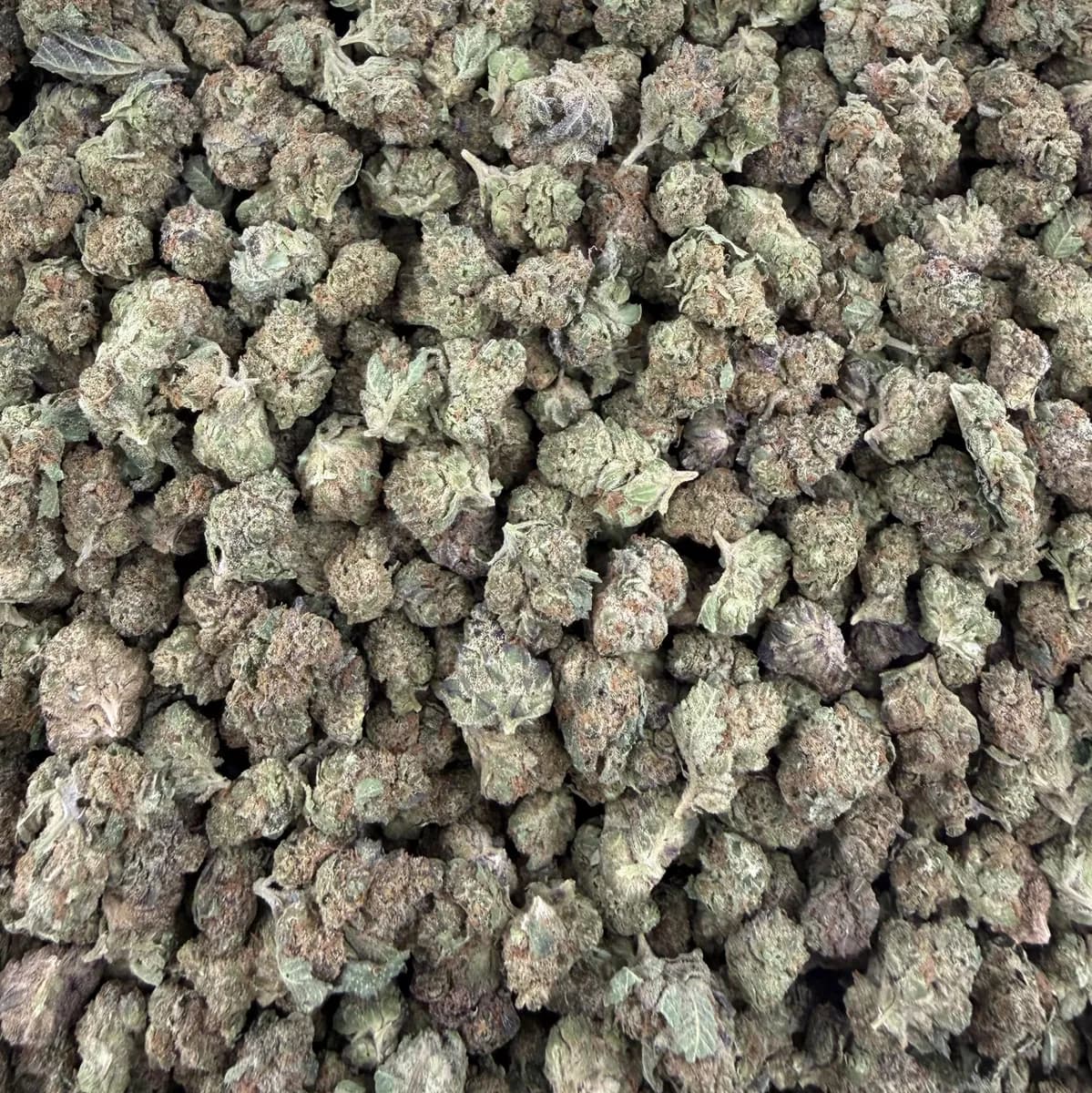 Black Cherry Zoap wholesale hemp flower