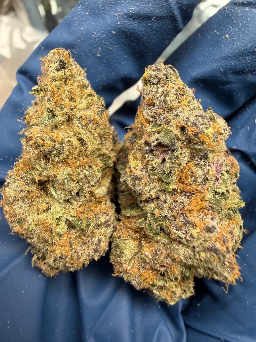 Blockberry wholesale hemp flower