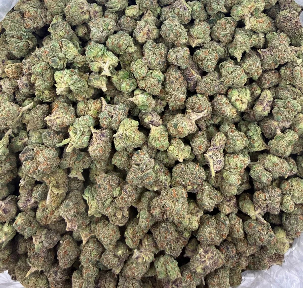 Bolo Runtz wholesale hemp flower