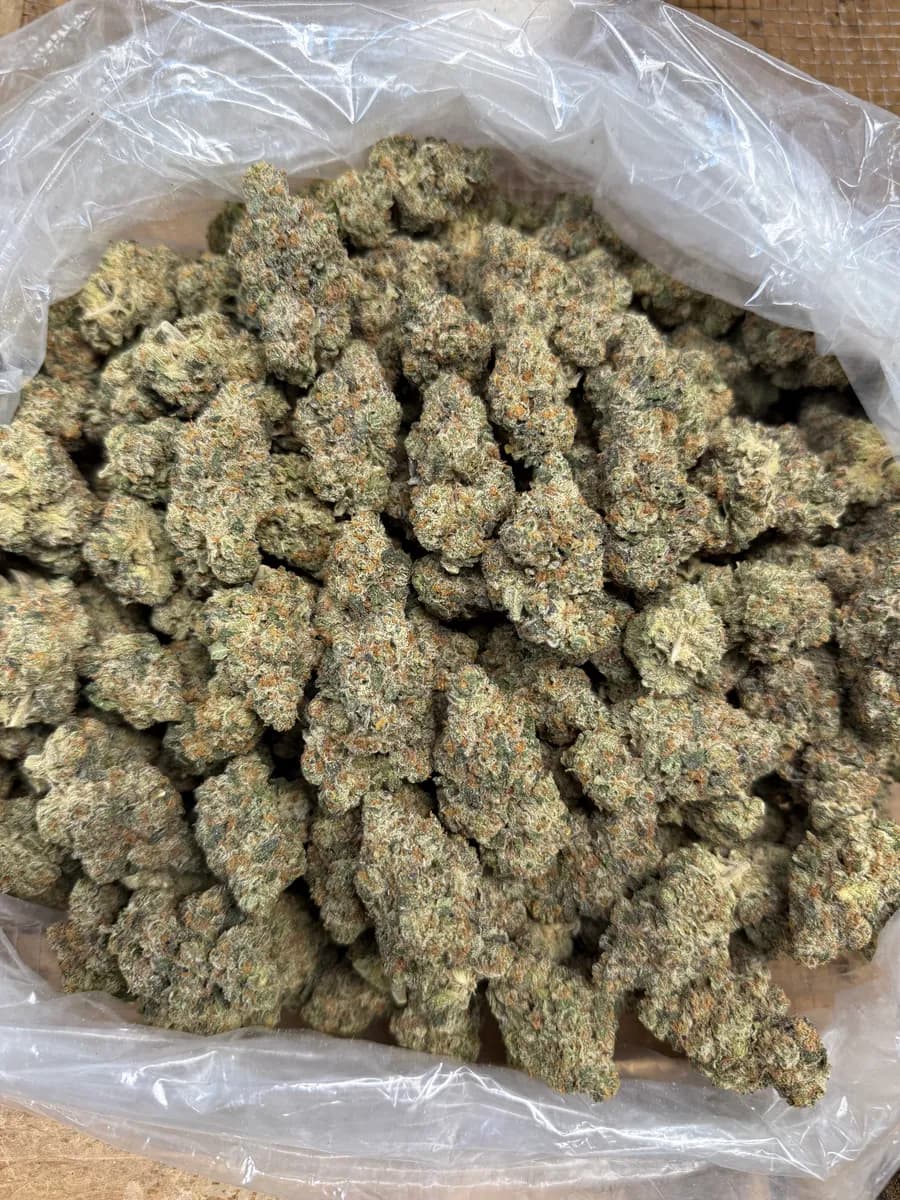 Cadillac Rainbow wholesale hemp flower