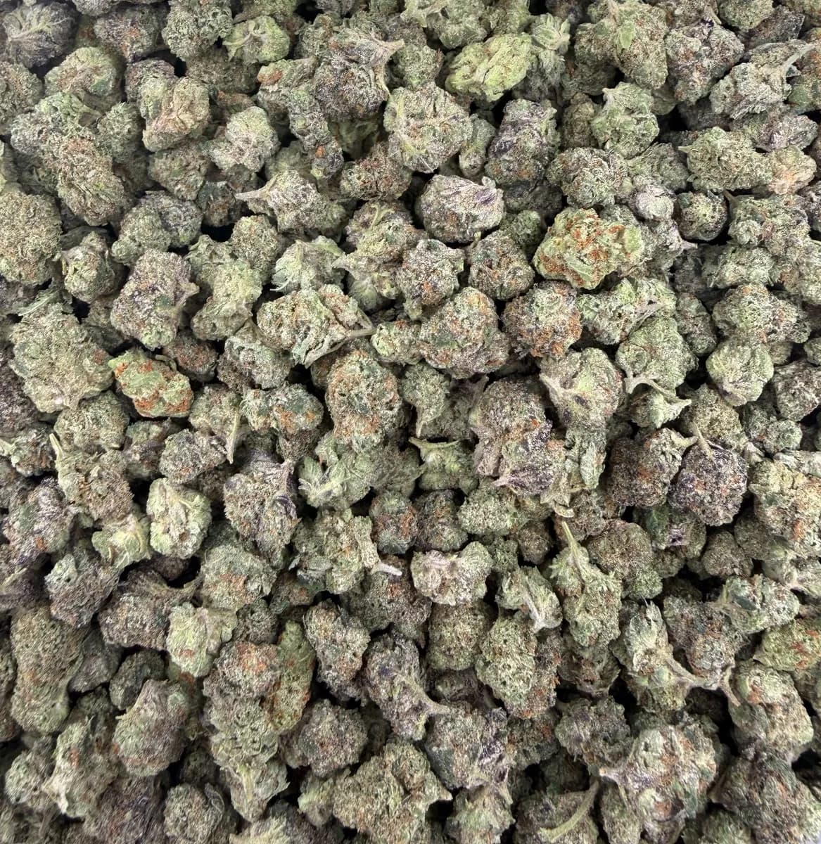 Candy Truffle wholesale hemp flower