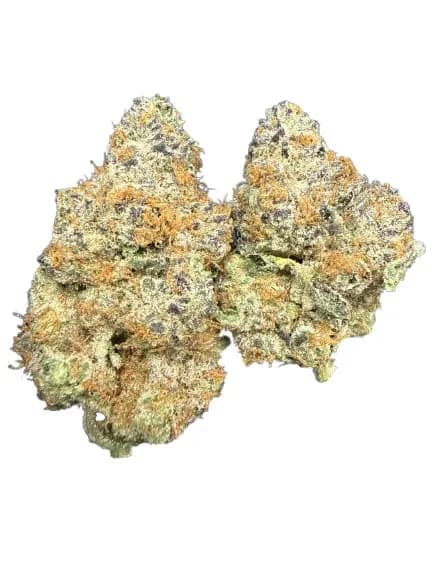 Cheetah Piss wholesale hemp flower