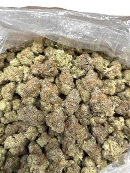 Cheetah Piss wholesale hemp flower