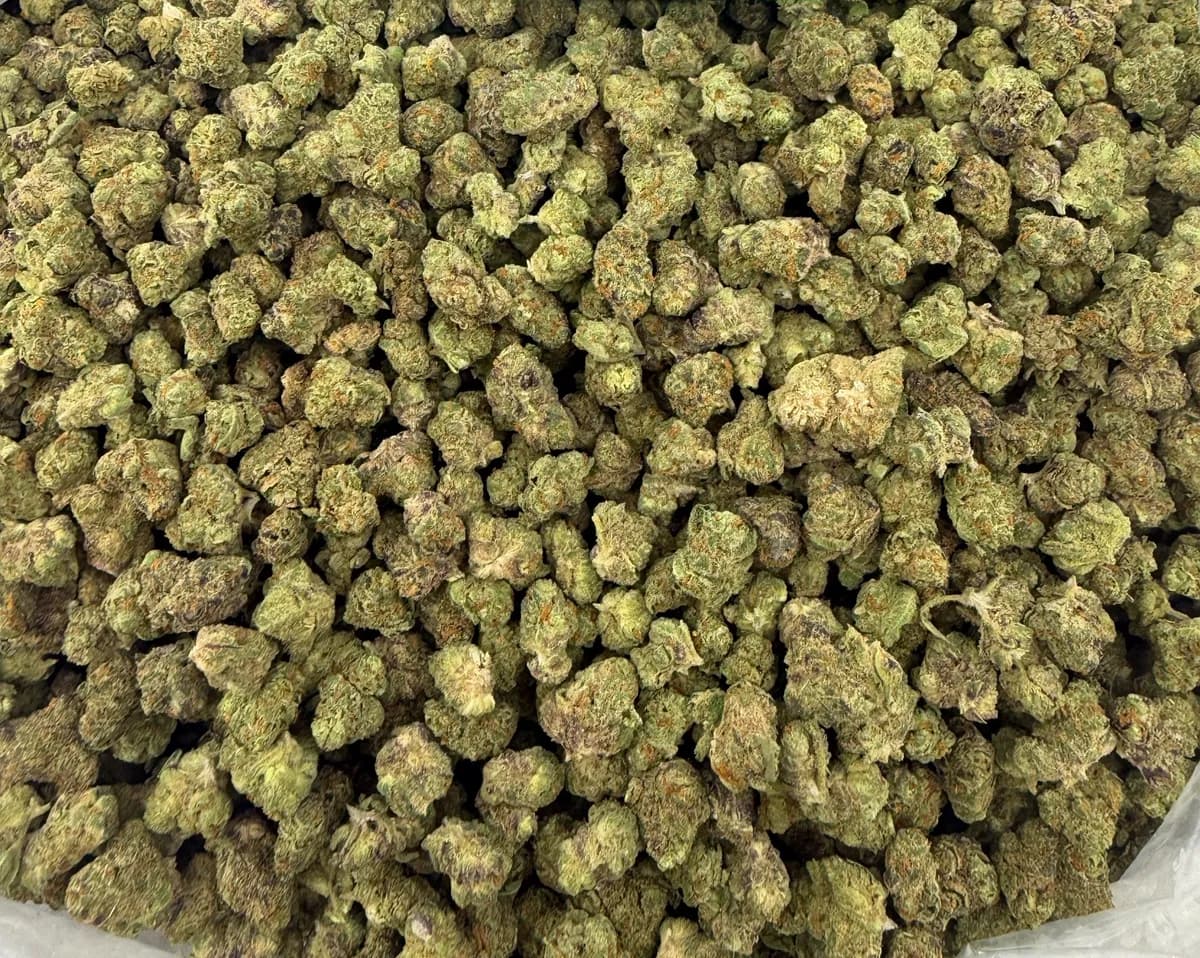 Cheetah Piss Smalls wholesale hemp flower