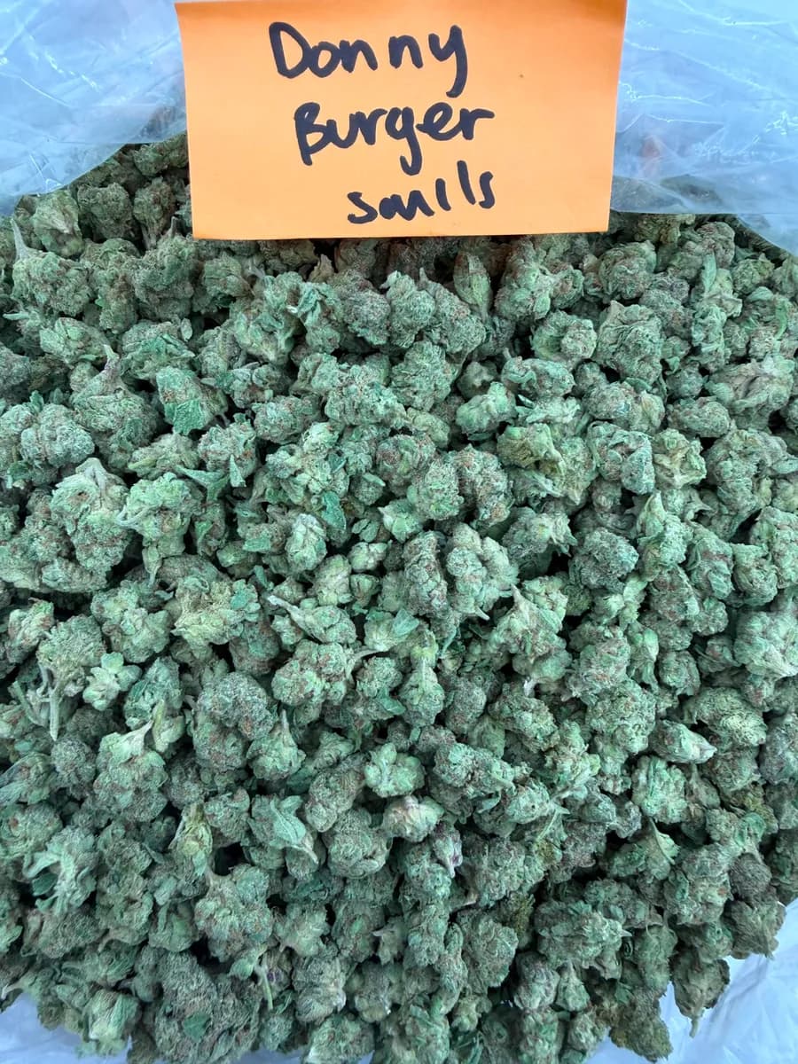 Donny Burger Smalls wholesale hemp flower