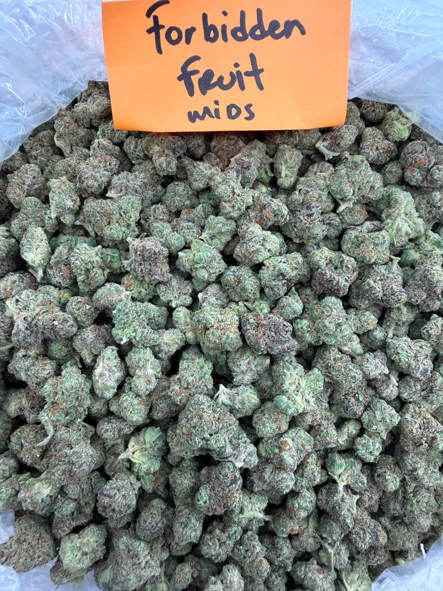 Forbidden Fruit wholesale hemp flower