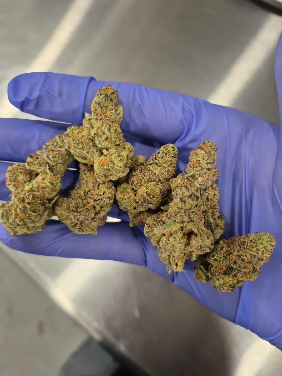 Glitter Bomb wholesale hemp flower