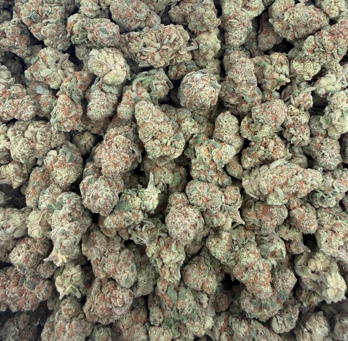 Glitter Bomb wholesale hemp flower