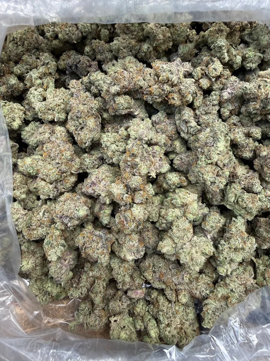 GMO wholesale hemp flower