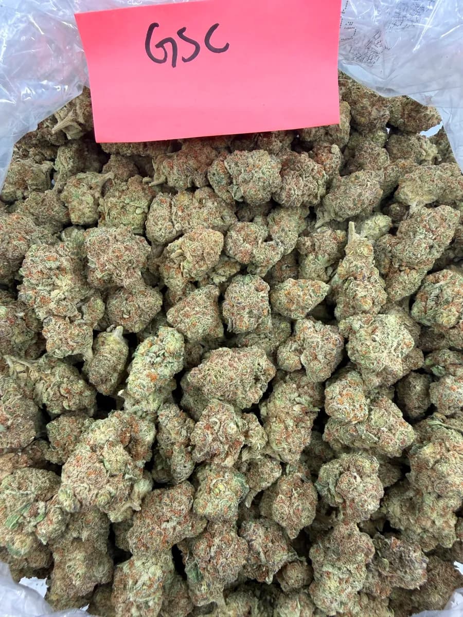 GSC wholesale hemp flower