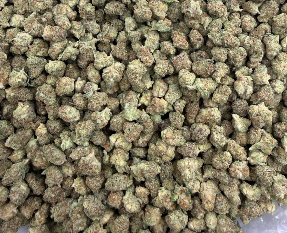 GSC Smalls wholesale hemp flower