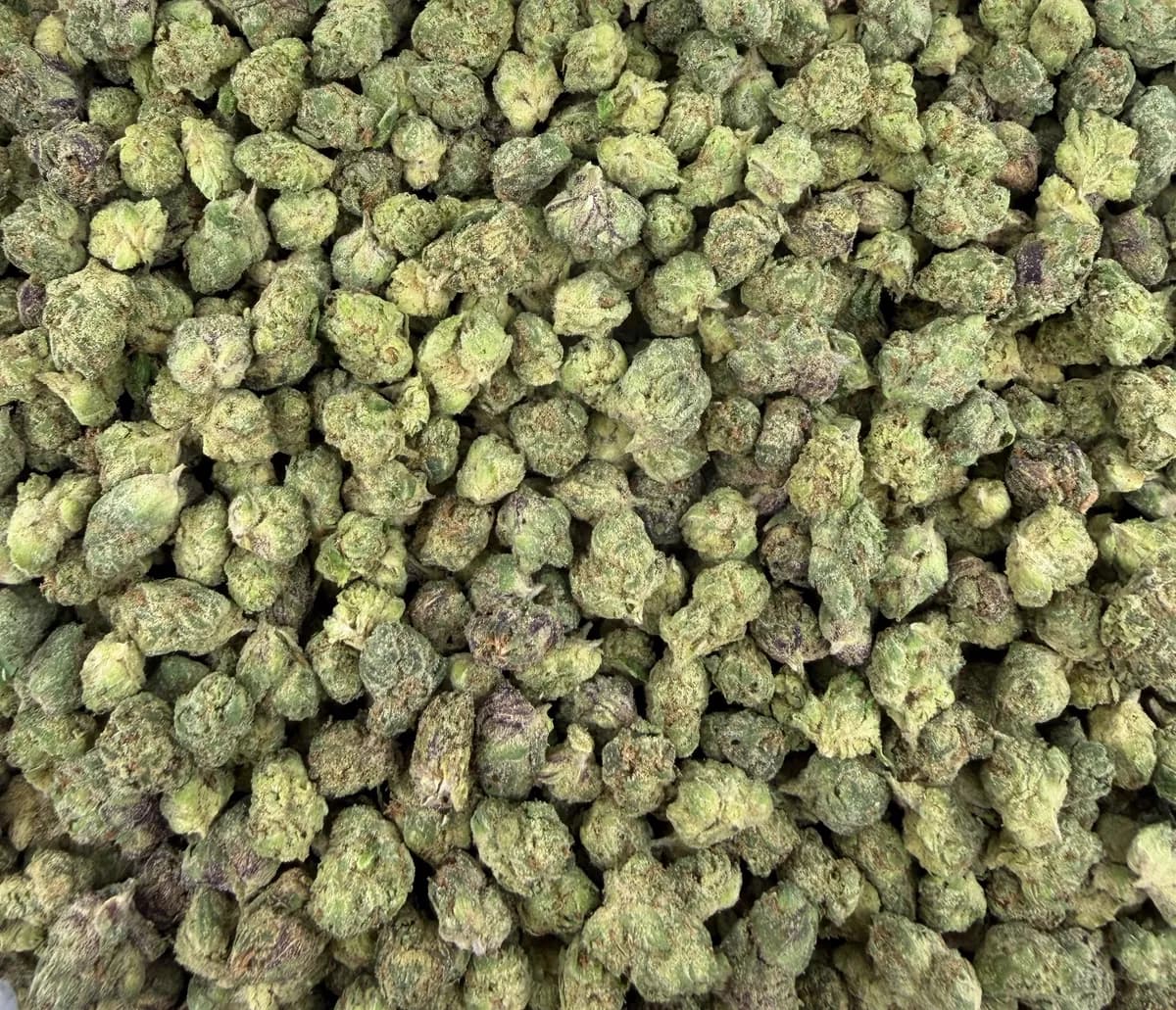 Halle Berry wholesale hemp flower