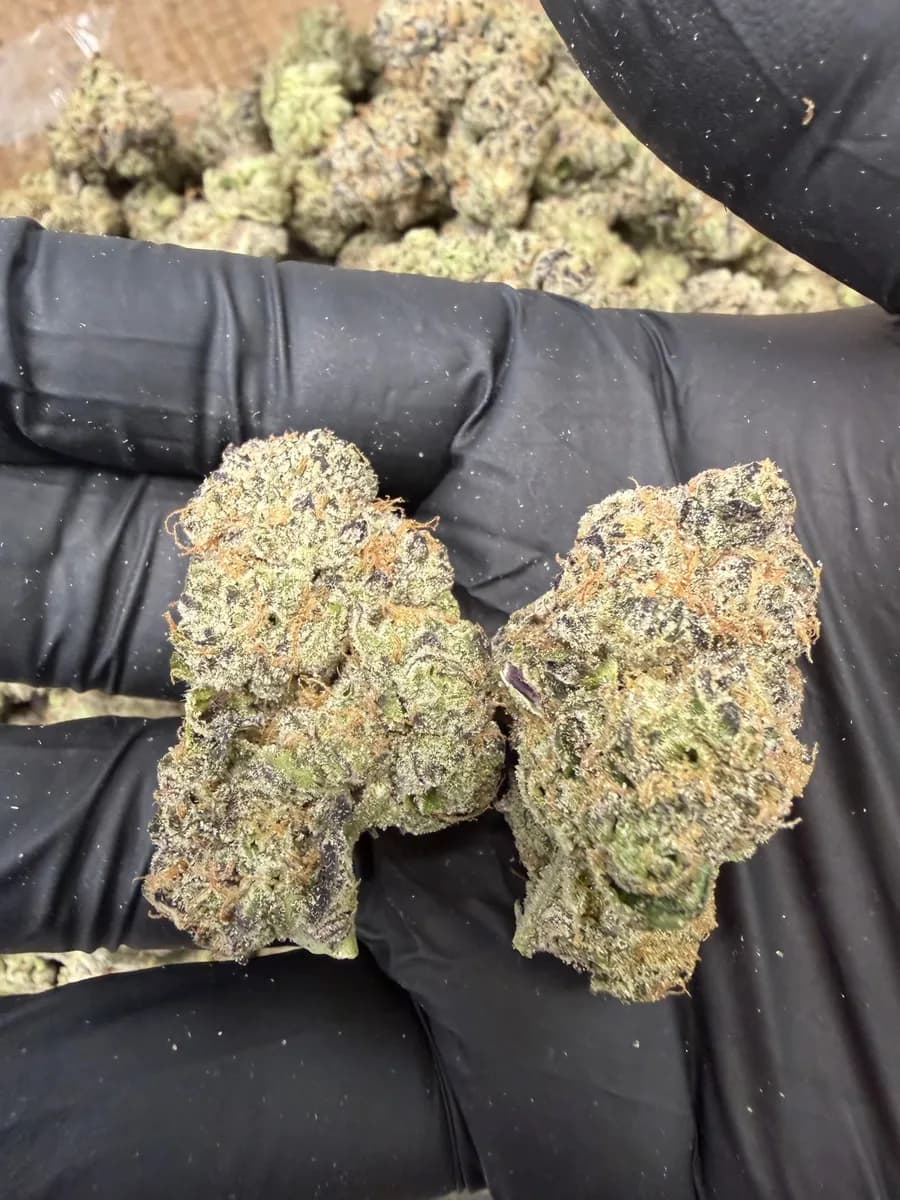 Hash Burger wholesale hemp flower