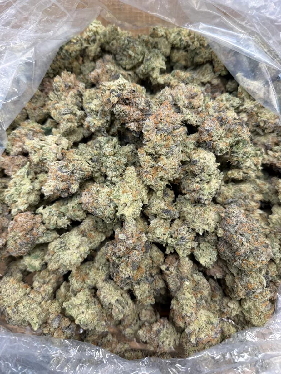 Jealousy wholesale hemp flower