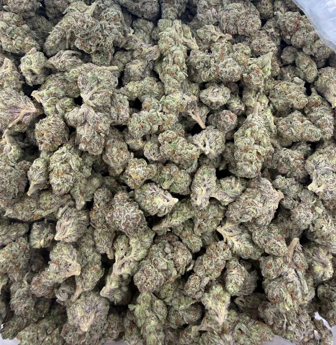 Kept Secret wholesale hemp flower