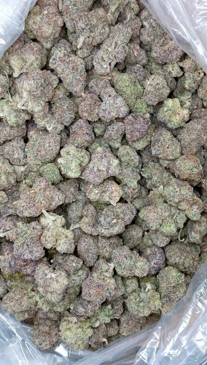 Lemon Cherry Gelato wholesale hemp flower