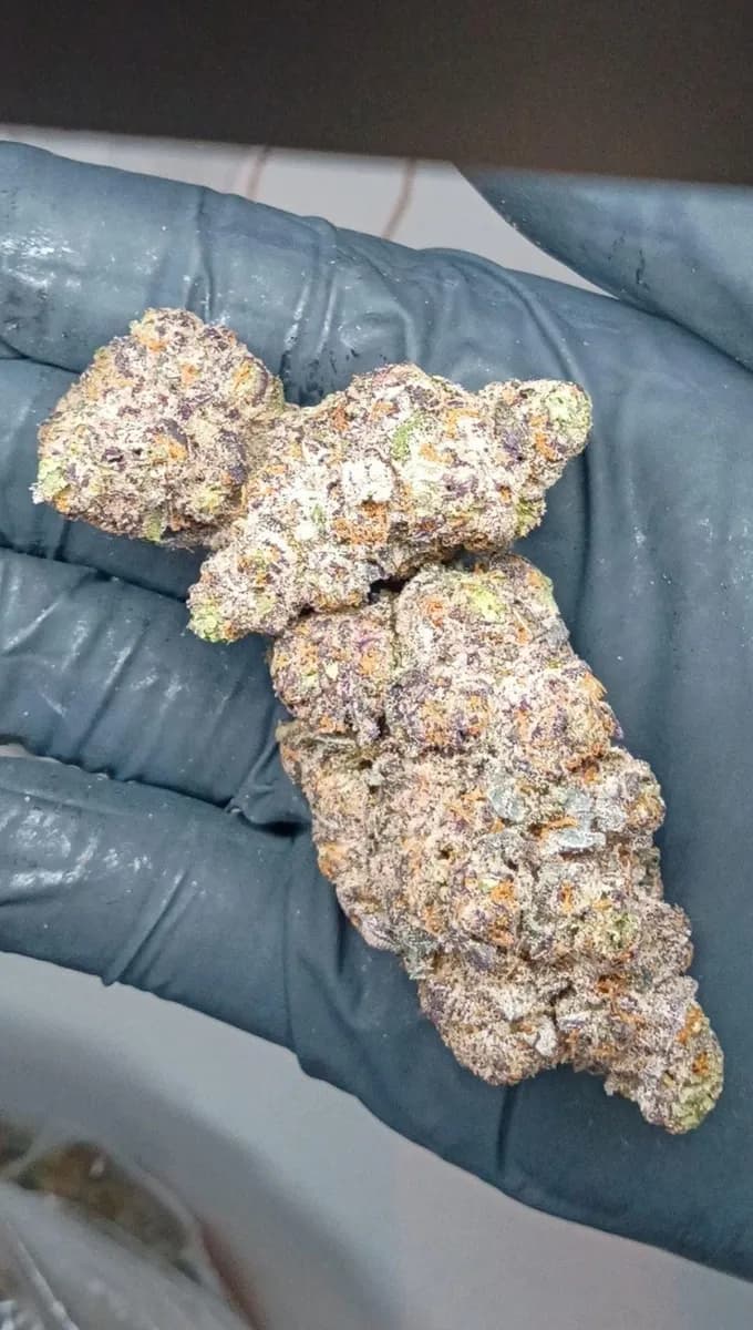 MAC 1 wholesale hemp flower
