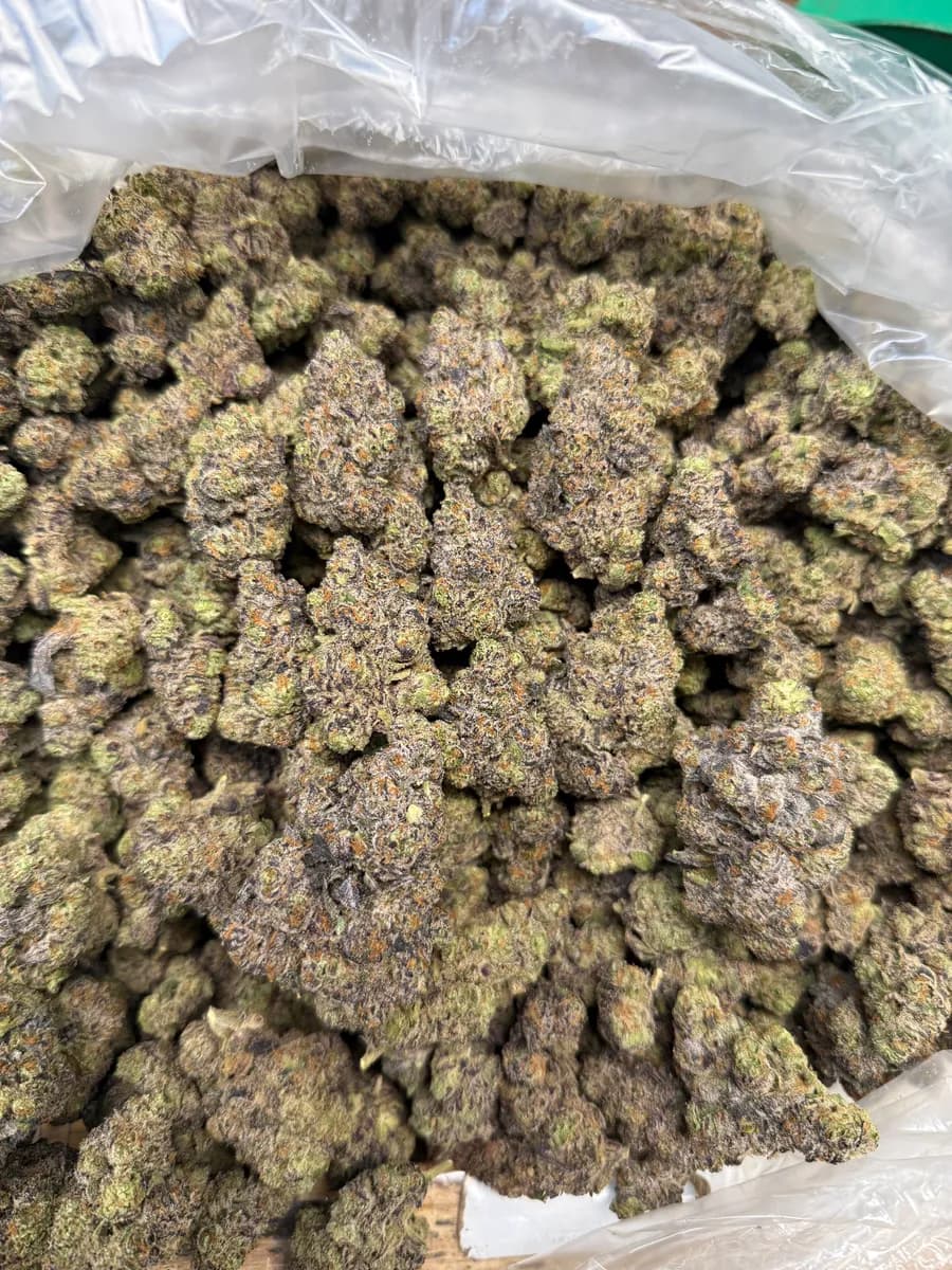 Magic Marker wholesale hemp flower