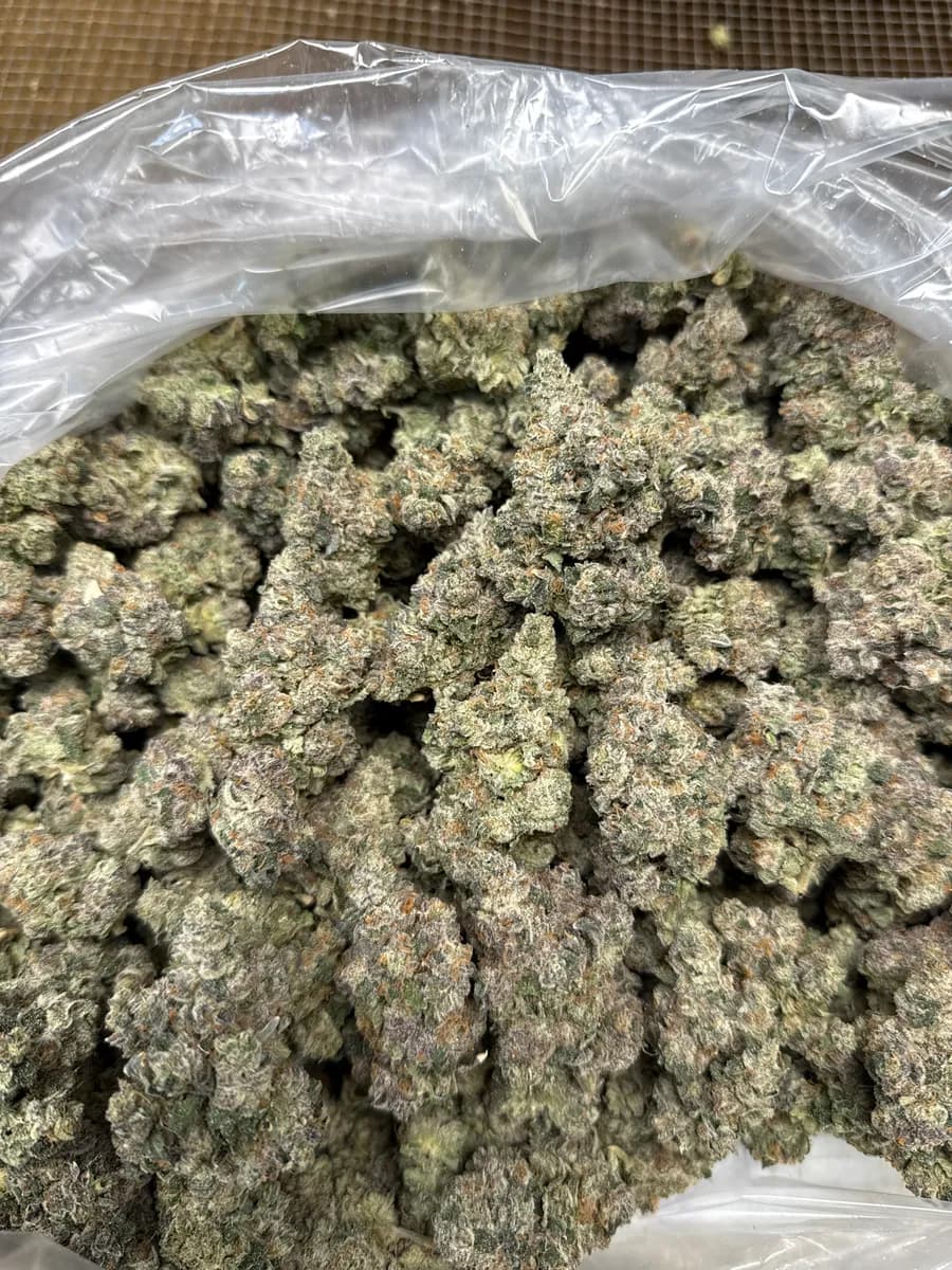 Mochi wholesale hemp flower