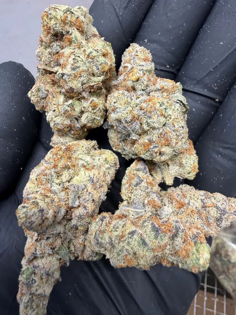 Northern Lights wholesale hemp flower