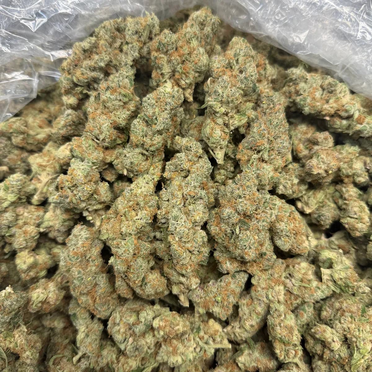 Orange Push Pop wholesale hemp flower