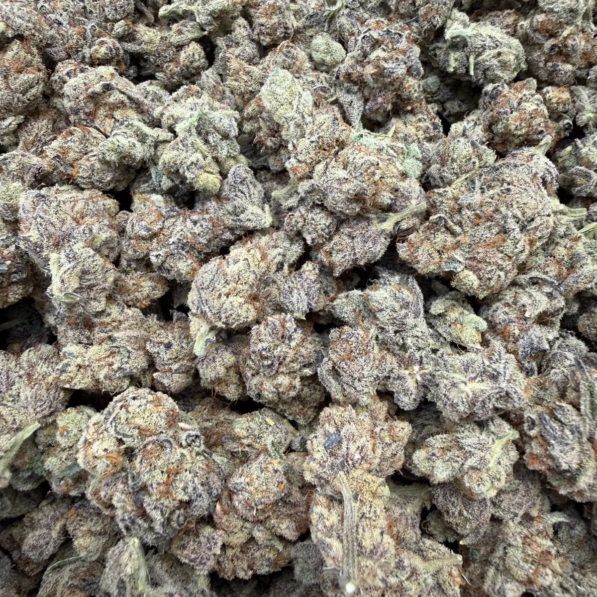 Purple Snoop wholesale hemp flower