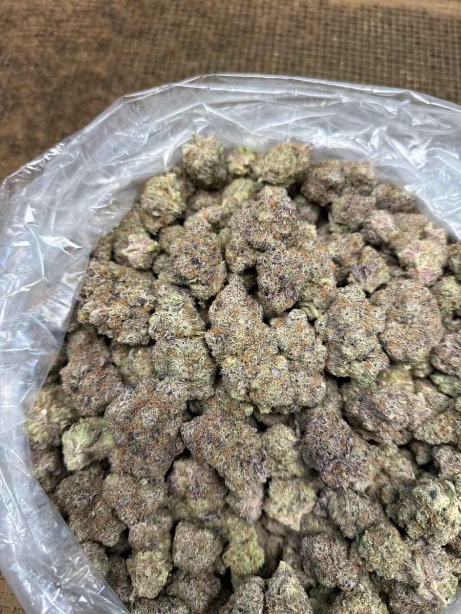 Purple Voodoo wholesale hemp flower