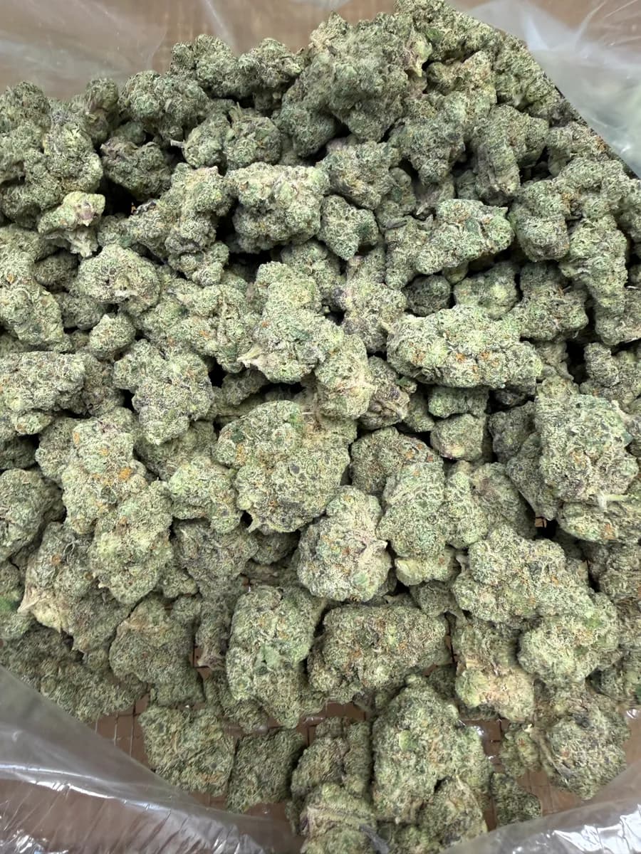 Rainbow Chip wholesale hemp flower