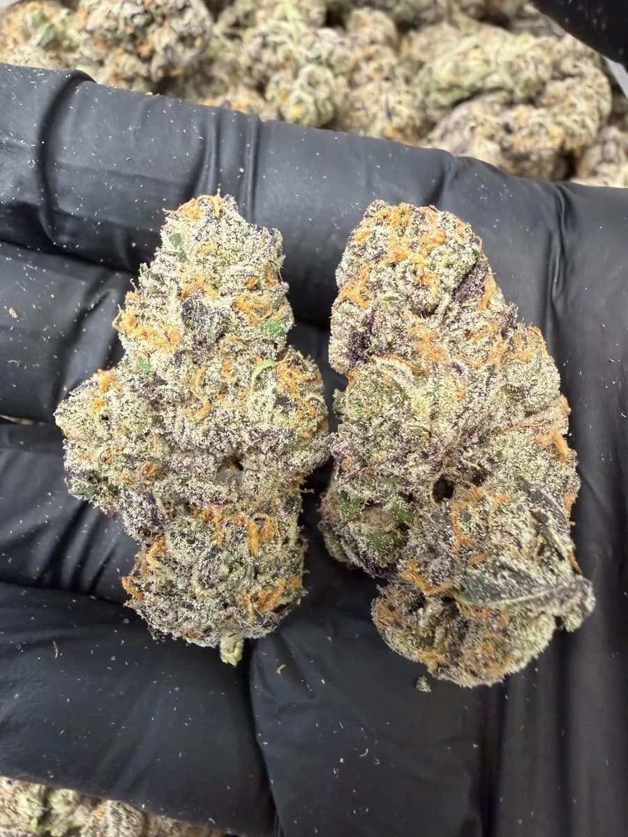 Runtz wholesale hemp flower