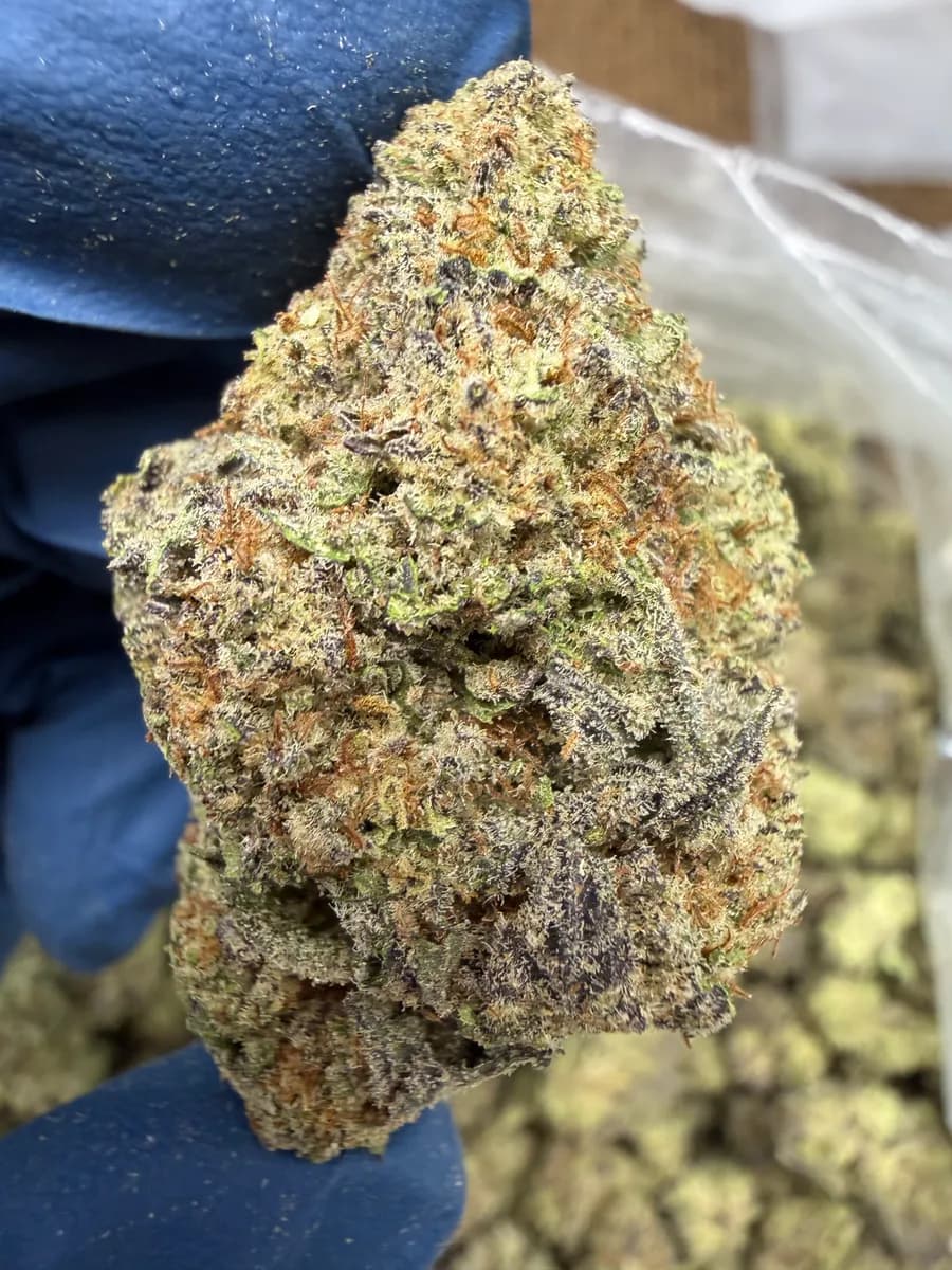 Smores wholesale hemp flower