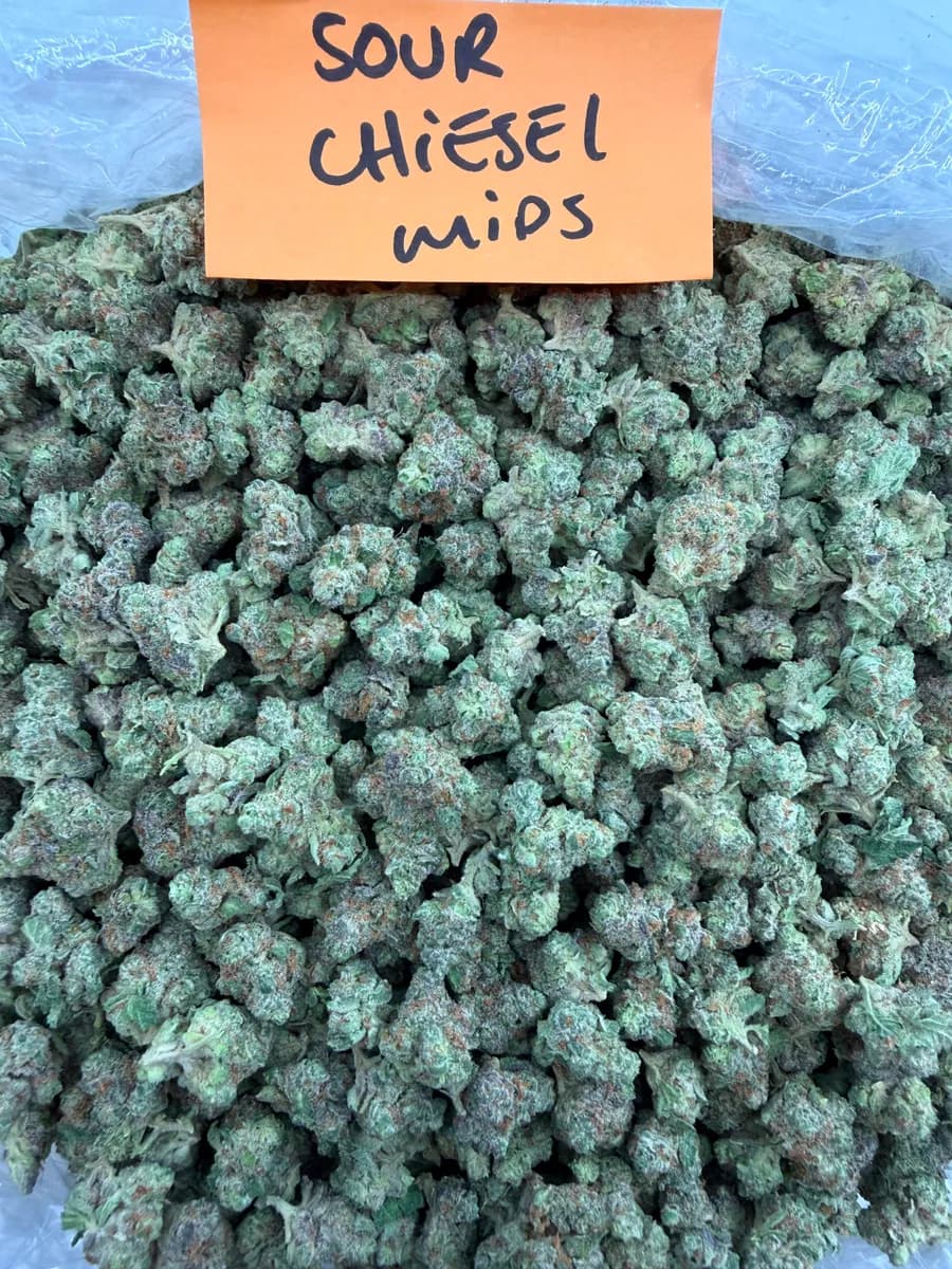 Sour Chiesel wholesale hemp flower