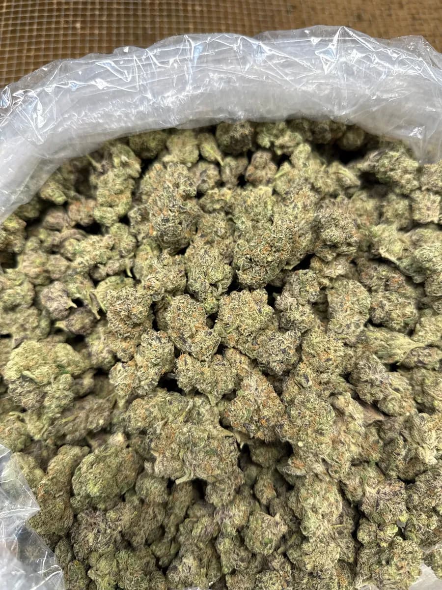 Space Cake wholesale hemp flower