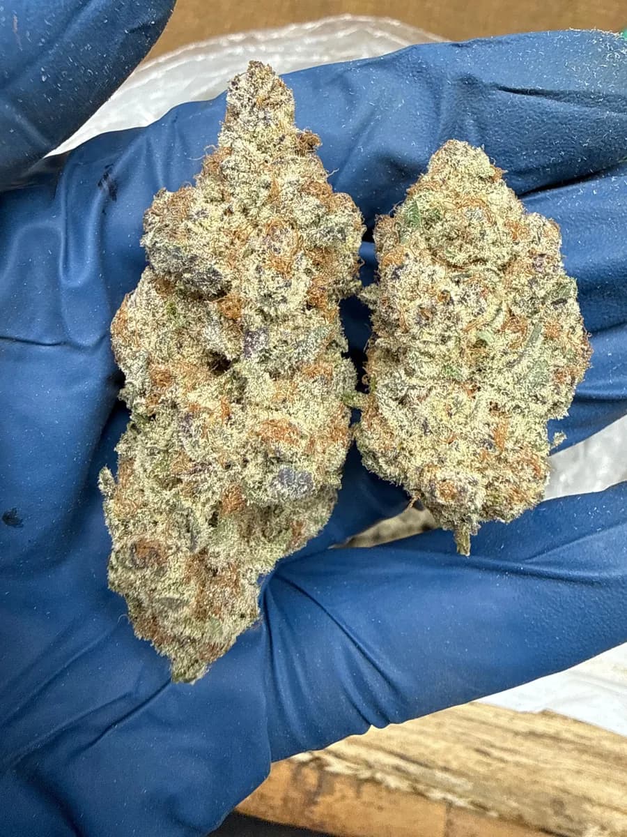 Subzero wholesale hemp flower