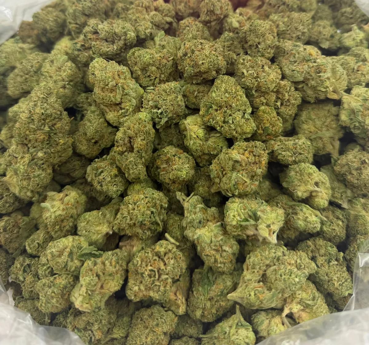 Sugar Cookies wholesale hemp flower