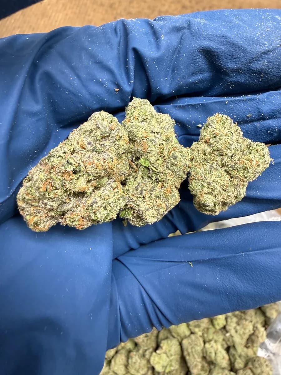 Super Runtz wholesale hemp flower