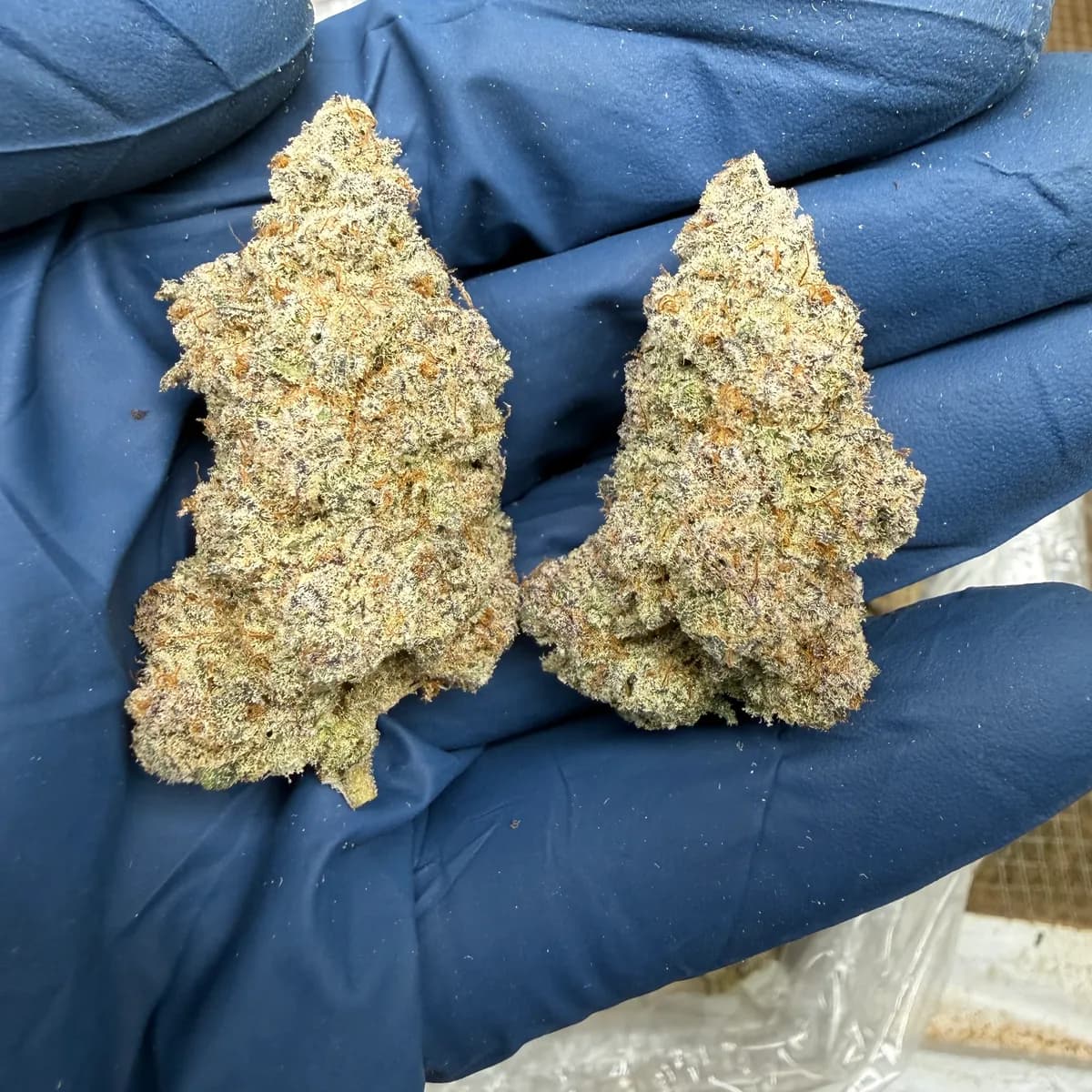 Super Sonic wholesale hemp flower