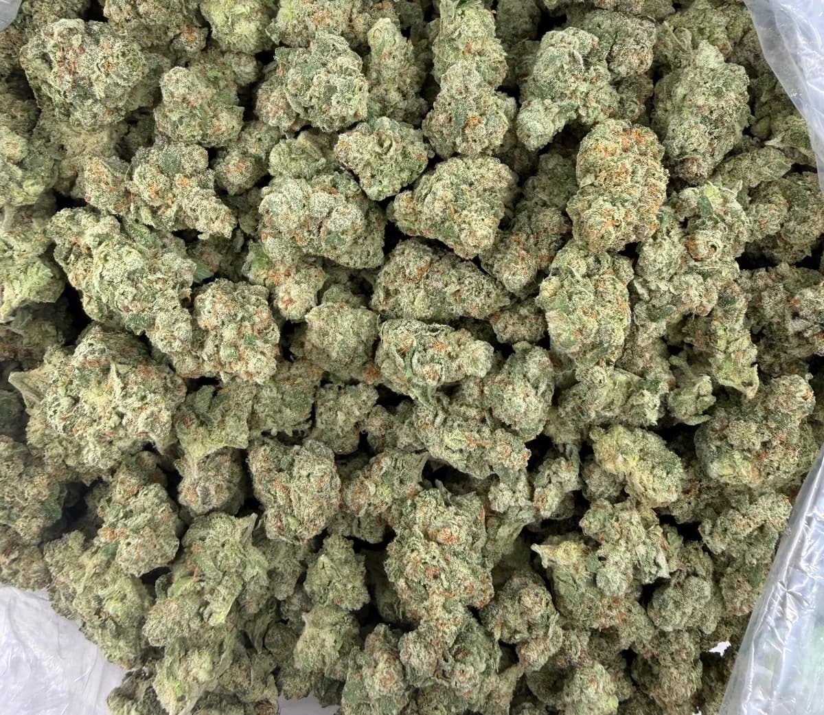 Tote Candy wholesale hemp flower