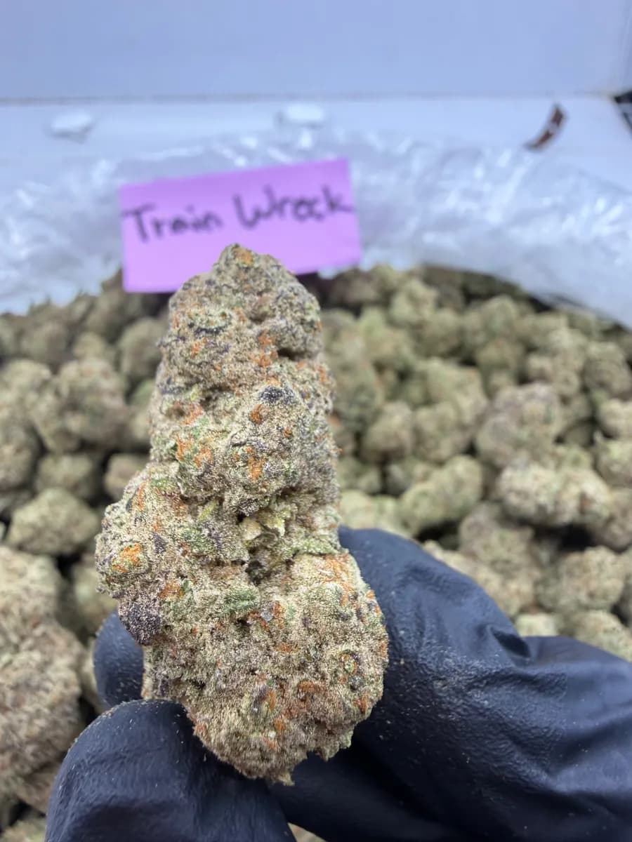 Trainwreck wholesale hemp flower