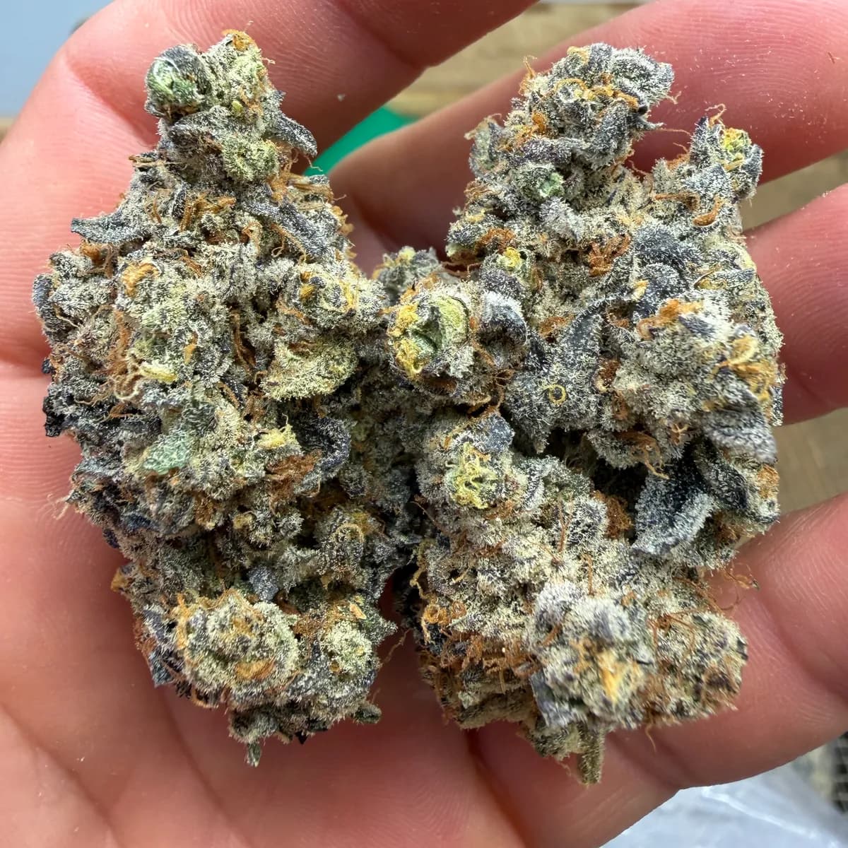 Trap Fuel wholesale hemp flower