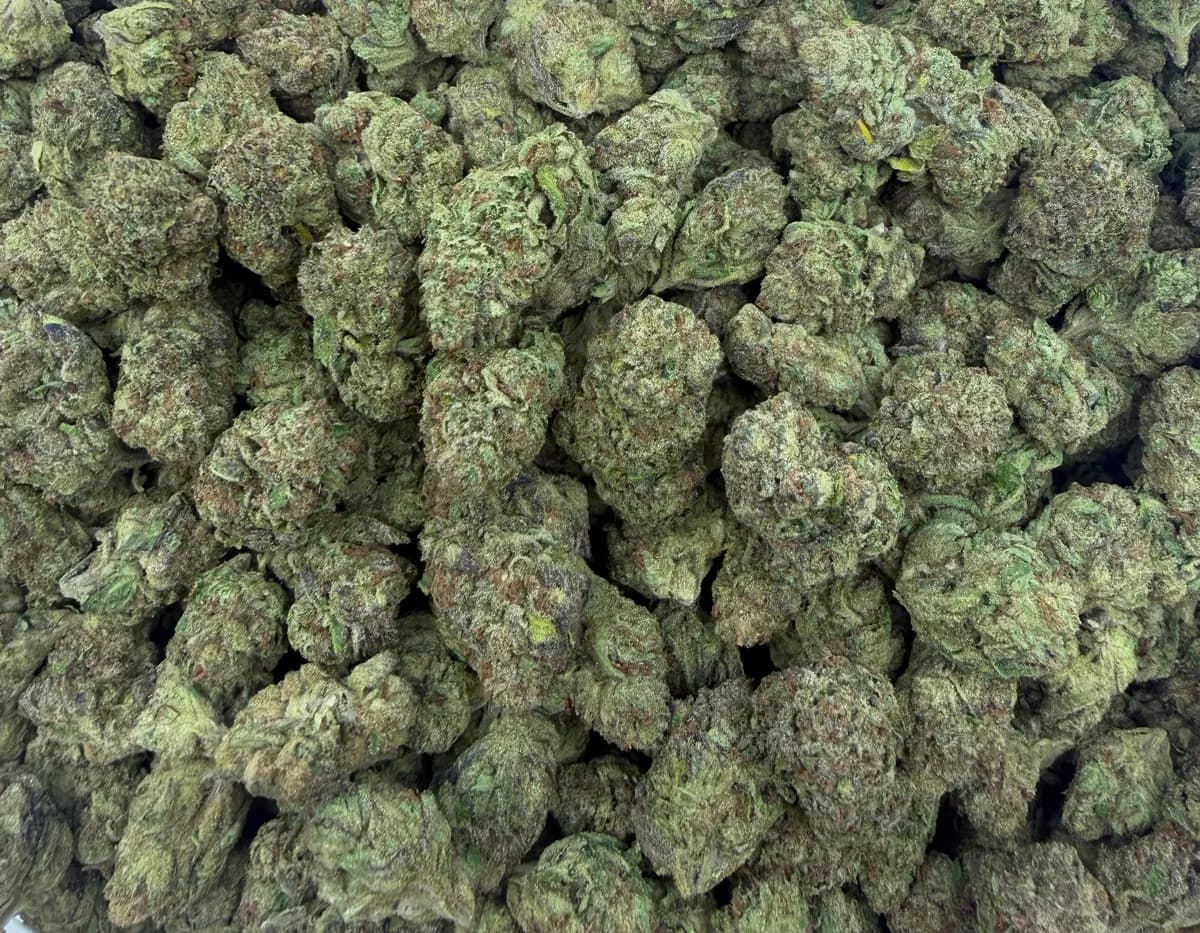 Triple Candy wholesale hemp flower