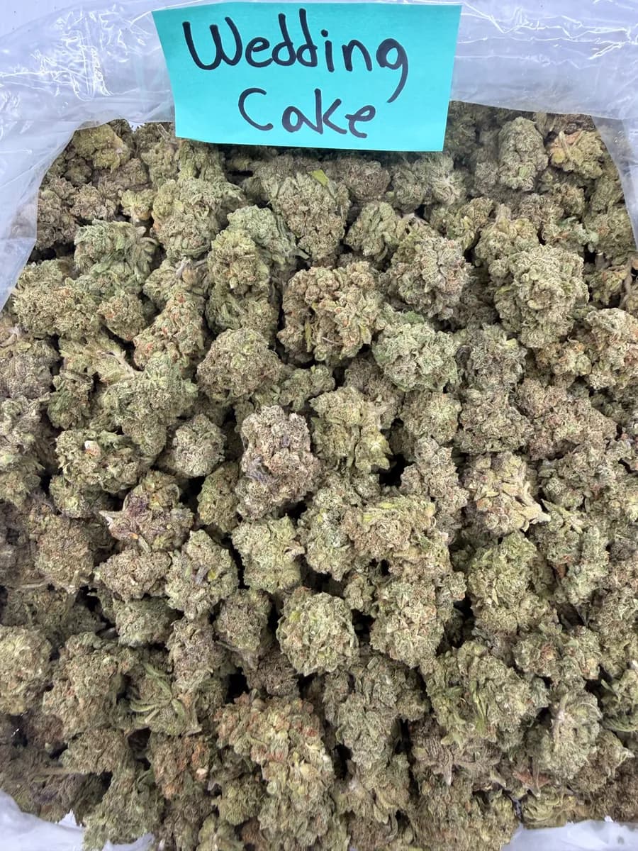 Wedding Cake wholesale hemp flower