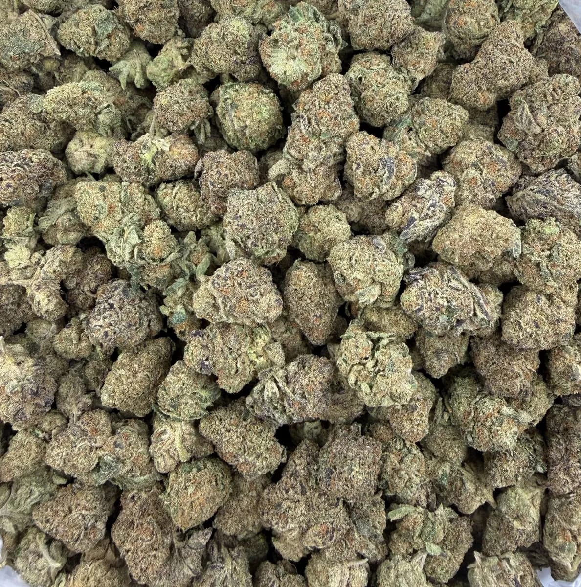 Z Cube wholesale hemp flower